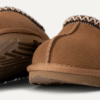 Zapatilla Tasman II