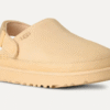 Zueco Goldenstar